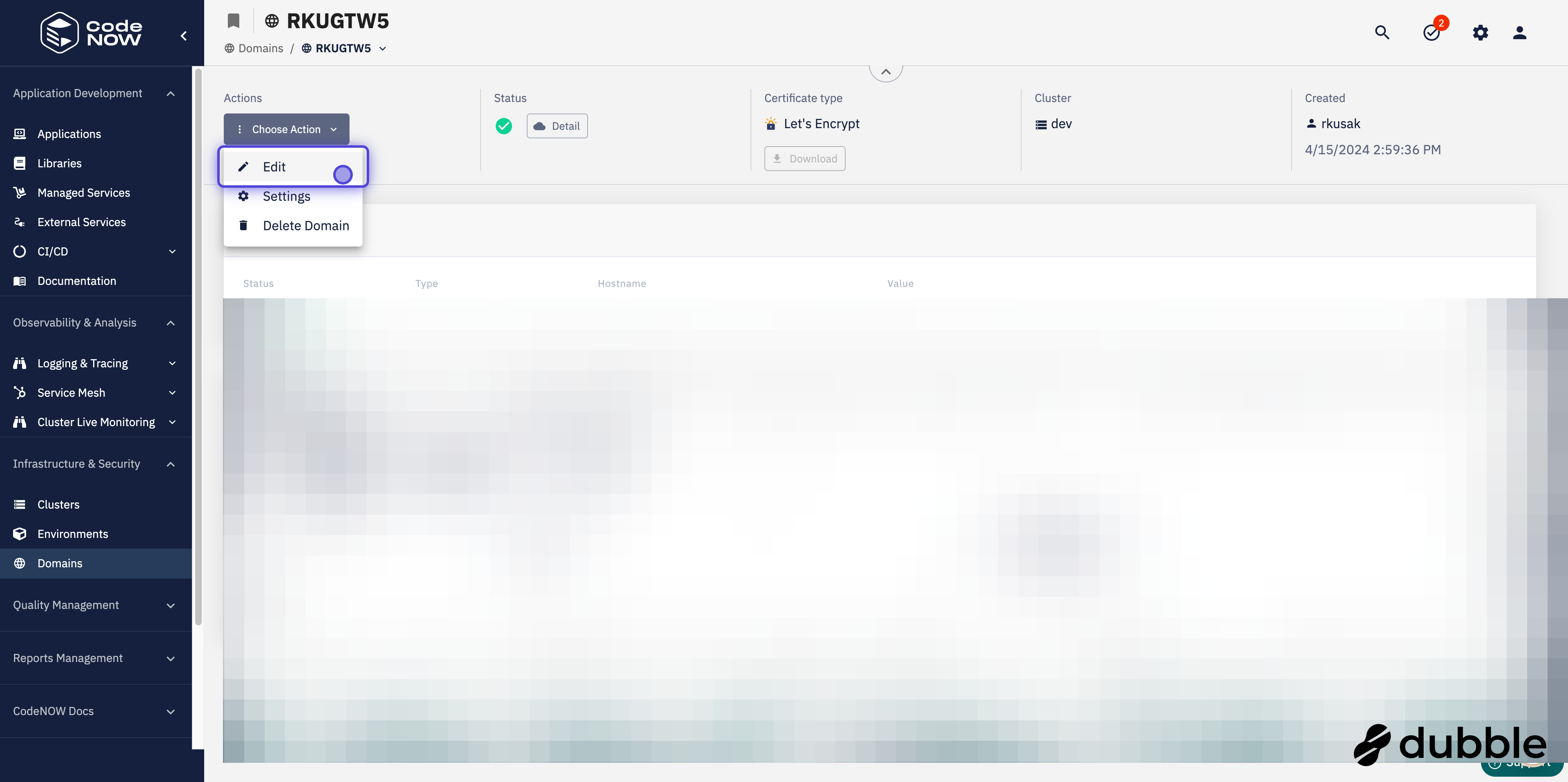 Assigned Domains during Deployment
